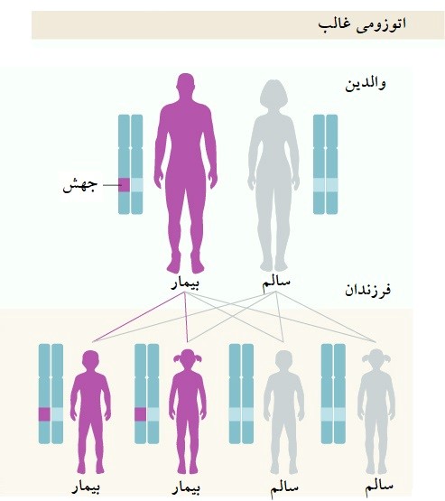 اتوموزومی غالب