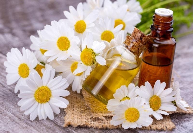 روغن بابونه